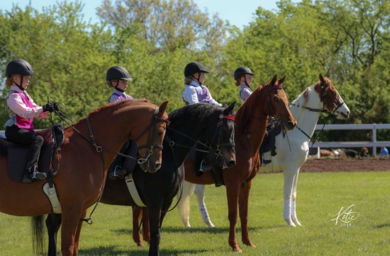 Bridles & Blossoms Horse Show