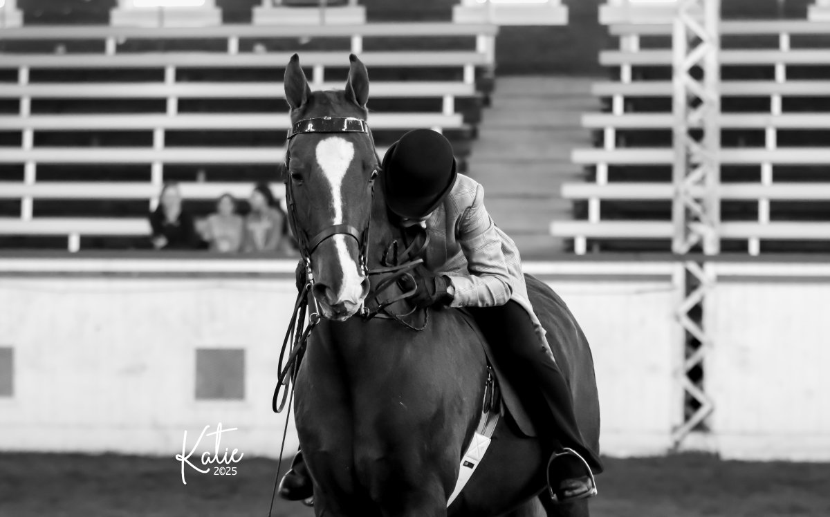 IMG_0208 copy-Edit.JPG